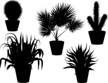 Set Of Five Plants In Pots Silhouettes On White