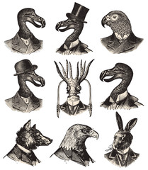 collection animals