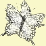 Fototapeta Motyle - Butterfly background