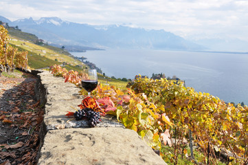 Wall Mural - Wine and grapes. Lavaux region, Switzerland