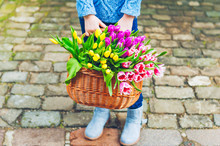 A Big Basket Full Of Fresh Colorful Tulips Holding By A Child
