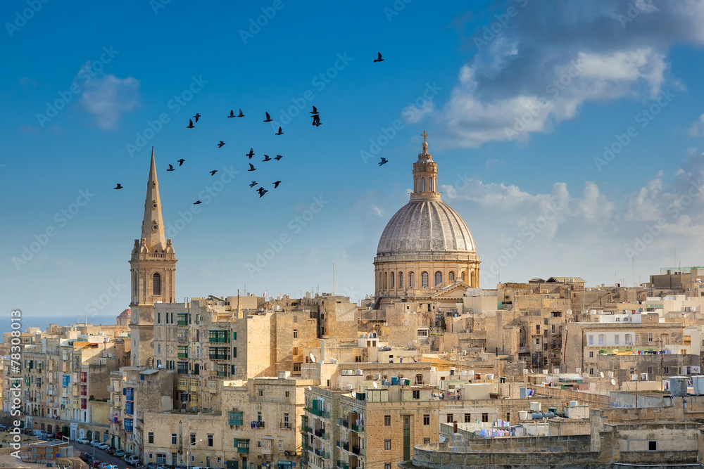 Obraz na płótnie Valetta city buildings with birds flying w salonie