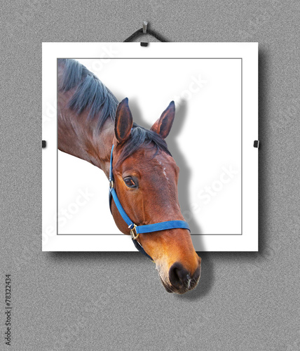 Fototapeta na wymiar 3d horse