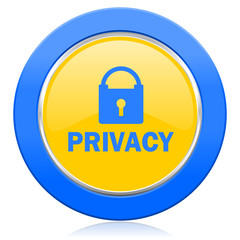 privacy blue yellow icon