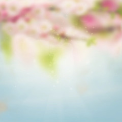 Wall Mural - spring garden bokeh background