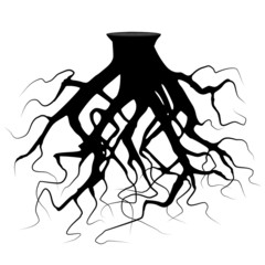 Tree roots silhouette