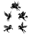 Tattoo Symbol Of Horse Wing Tattoo