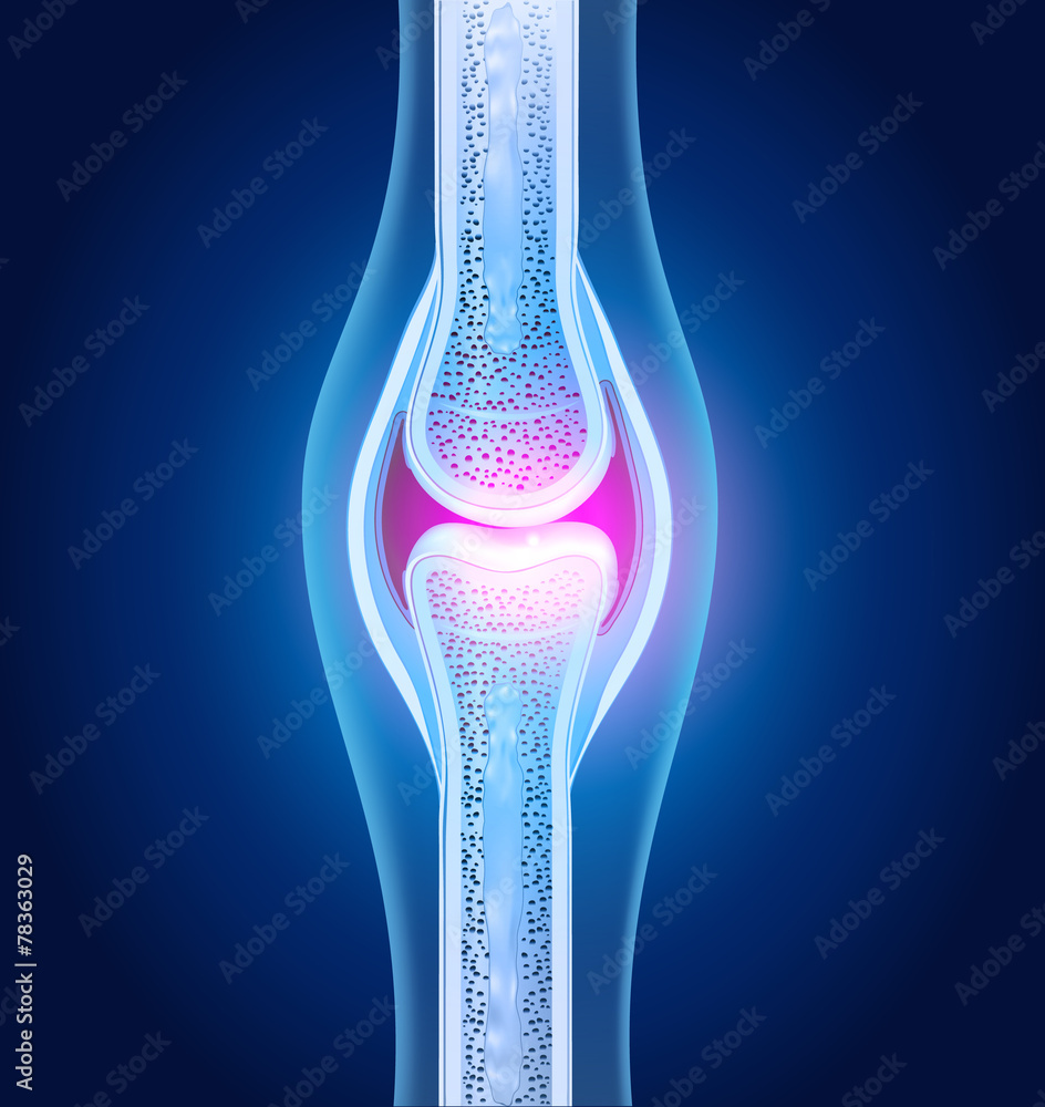 Normal joint anatomy abstract blue design - obrazy, fototapety, plakaty 