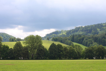 Summer landscape.