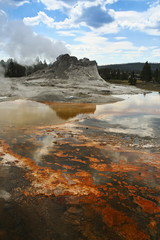 Wall Mural - Castle Geyser, Yellowstone National Park in Wyoming