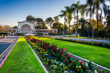 Gardens And Spreckels Organ Pavillion, In Balboa Park, San Diego