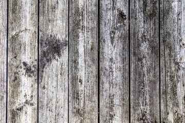 Wall Mural - grunge gray and brown wood wall texture and background