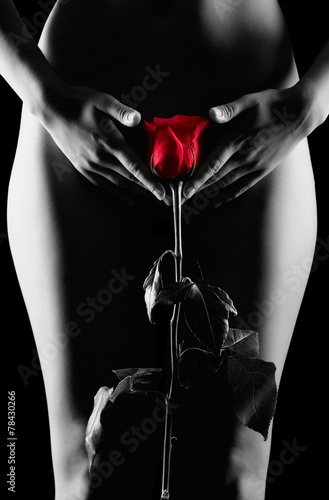 Obraz w ramie Silhouette of nude woman with red rose isolated on black