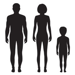 Wall Mural - human body anatomy,front vector man, woman silhouette