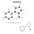 © logos2012 - Structural chemical formula and model of  nicotine