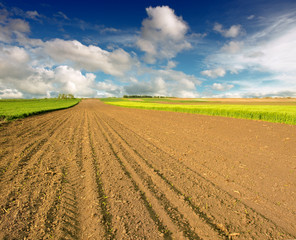 Sticker - plowed field and blue sky