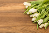 Fototapeta Tulipany - Weiße Tulpen