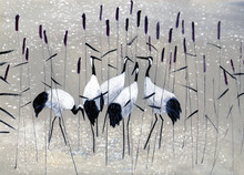Family Of Cranes