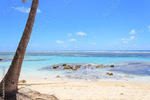 Guadeloupe Plage De Saint Anne Buy This Stock Photo And