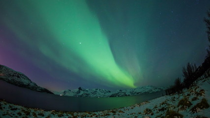 Wall Mural - aurora borealis timelapse in norway
