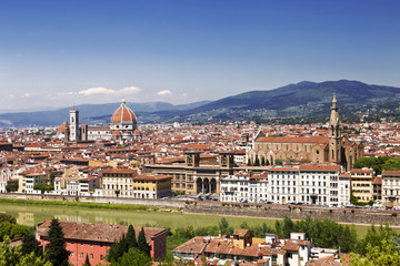 Wall Mural - Panorama of Florence