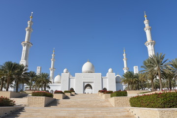 Wall Mural - Beautiful mosque, Abu Dhabi