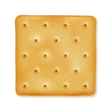 Crispy Cracker Isolated. Crunchy Biscuit.