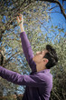 © theartofphoto - Handsome young Italian man picking olives