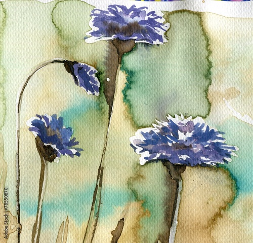 niebieskie-kwiaty-chabry-akwarela