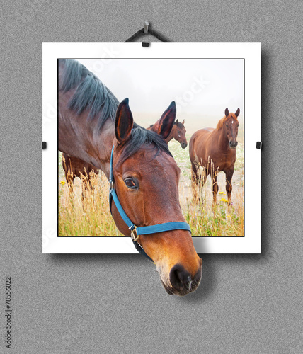 Fototapeta dla dzieci 3d horse