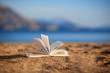 Book on a beach