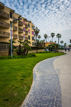 Palm Trees And Buildings Along A Walkway At Pacific Beach, Calif