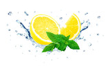 Fototapeta Dinusie - lemon and mint splash