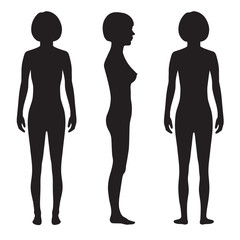 Sticker - human body anatomy,front, back side, vector woman silhouette