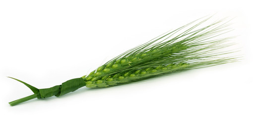 Green wheat