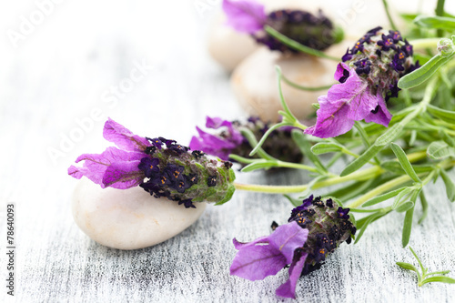 Naklejka - mata magnetyczna na lodówkę Lavender bouquet.