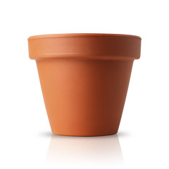 flower pot isolated on white