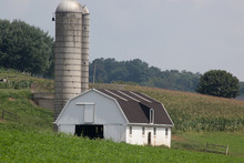 White Wooden Barn And Silo