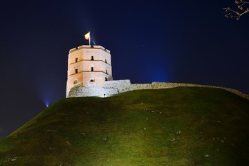 Wall Mural - Gediminas Castle Tower on Hill in Vilnius