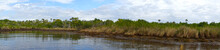 Panorama Everglades