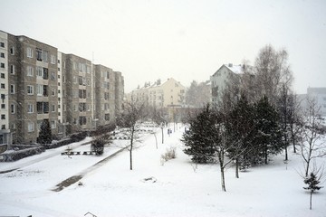 Wall Mural - Winter in capital of Lithuania Vilnius city Pasilaiciai district