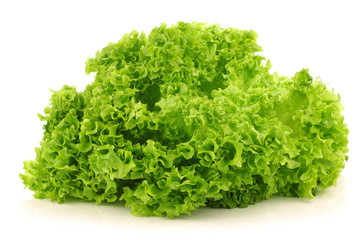 freshly harvested Lollo Bionda lettuce on a white background