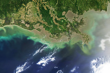 Oil Spill At Mississippi Delta, Captured From Space.
