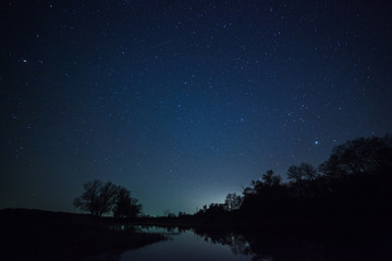 a beautiful night sky, the milky way and the trees