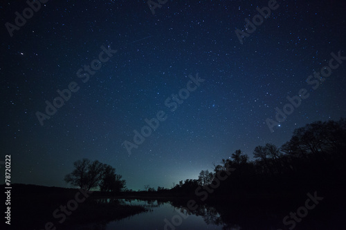 Plakát a beautiful night sky, the Milky Way and the trees
