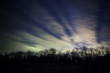 Wall Mural - a beautiful night sky, the milky way and the trees