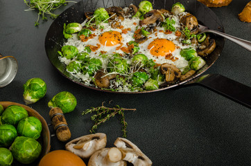 Wall Mural - Vegetable omelet with bulls eye egg and sprouts