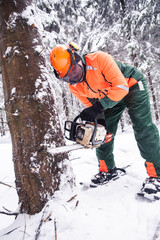 Wall Mural - lumberjack