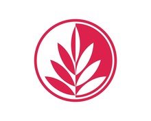 Red Sage Tree Logo