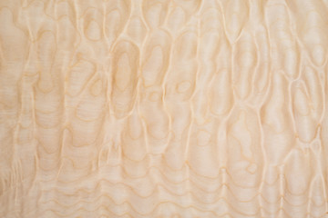 texture of quilted maple